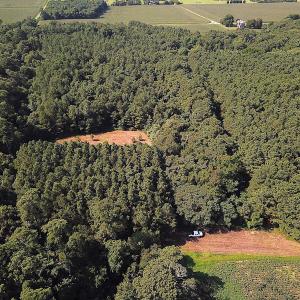 Photo #4 of SOLD property in Off Jackie Lane, Cape Charles, VA 46.0 acres
