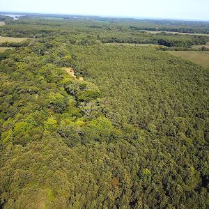 Photo #5 of SOLD property in Off Jackie Lane, Cape Charles, VA 46.0 acres