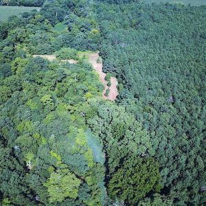 Photo #6 of SOLD property in Off Jackie Lane, Cape Charles, VA 46.0 acres