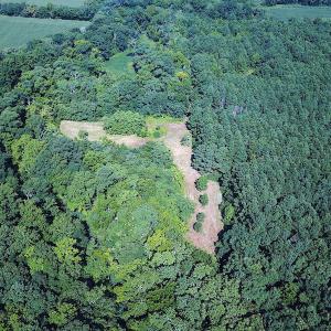 Photo #7 of SOLD property in Off Jackie Lane, Cape Charles, VA 46.0 acres