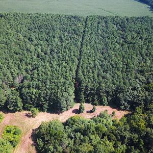 Photo #8 of SOLD property in Off Jackie Lane, Cape Charles, VA 46.0 acres