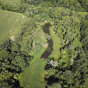 Photo #11 of SOLD property in Off Jackie Lane, Cape Charles, VA 46.0 acres