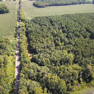 Photo #12 of SOLD property in Off Jackie Lane, Cape Charles, VA 46.0 acres