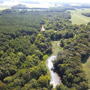 Photo #13 of SOLD property in Off Jackie Lane, Cape Charles, VA 46.0 acres