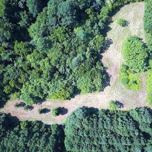 Photo #15 of SOLD property in Off Jackie Lane, Cape Charles, VA 46.0 acres