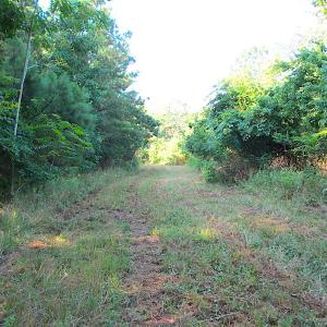 Photo #17 of SOLD property in Off Jackie Lane, Cape Charles, VA 46.0 acres
