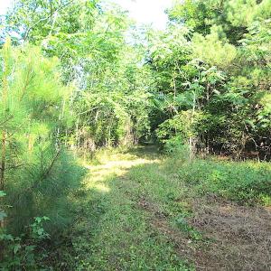 Photo #18 of SOLD property in Off Jackie Lane, Cape Charles, VA 46.0 acres