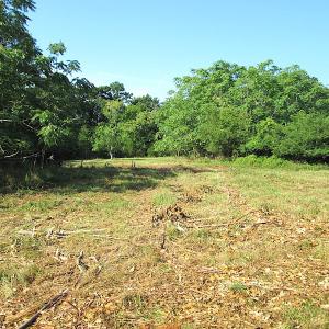 Photo #19 of SOLD property in Off Jackie Lane, Cape Charles, VA 46.0 acres