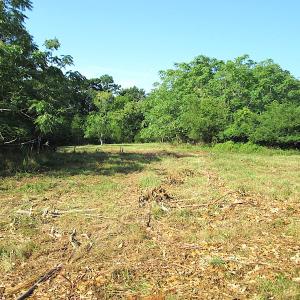Photo #19 of SOLD property in Off Jackie Lane, Cape Charles, VA 46.0 acres