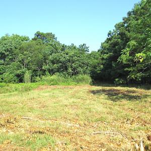Photo #20 of SOLD property in Off Jackie Lane, Cape Charles, VA 46.0 acres
