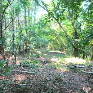Photo #23 of SOLD property in Off Jackie Lane, Cape Charles, VA 46.0 acres