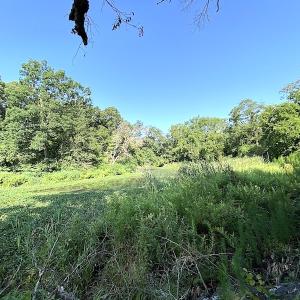 Photo #25 of SOLD property in Off Jackie Lane, Cape Charles, VA 46.0 acres