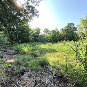 Photo #26 of SOLD property in Off Jackie Lane, Cape Charles, VA 46.0 acres
