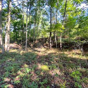 Photo #27 of SOLD property in Off Jackie Lane, Cape Charles, VA 46.0 acres