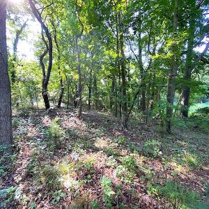 Photo #28 of SOLD property in Off Jackie Lane, Cape Charles, VA 46.0 acres