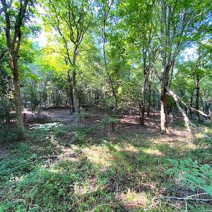 Photo #29 of SOLD property in Off Jackie Lane, Cape Charles, VA 46.0 acres