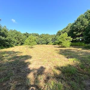 Photo #32 of SOLD property in Off Jackie Lane, Cape Charles, VA 46.0 acres