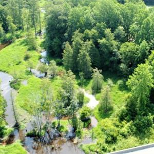 Photo #3 of SOLD property in  Off Hwy 17 and Off Springs Road, Washington, NC 53.0 acres