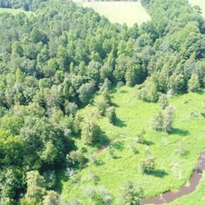 Photo #4 of SOLD property in  Off Hwy 17 and Off Springs Road, Washington, NC 53.0 acres