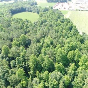 Photo #5 of SOLD property in  Off Hwy 17 and Off Springs Road, Washington, NC 53.0 acres