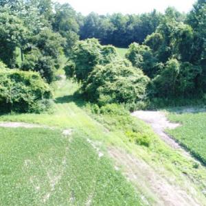 Photo #14 of SOLD property in  Off Hwy 17 and Off Springs Road, Washington, NC 53.0 acres