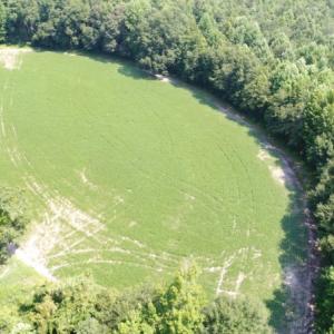 Photo #15 of SOLD property in  Off Hwy 17 and Off Springs Road, Washington, NC 53.0 acres