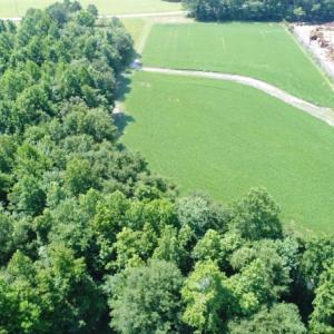 Photo #16 of SOLD property in  Off Hwy 17 and Off Springs Road, Washington, NC 53.0 acres