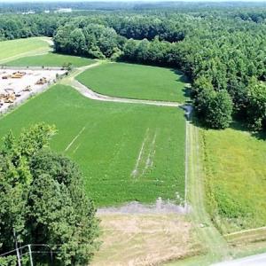 Photo #25 of SOLD property in  Off Hwy 17 and Off Springs Road, Washington, NC 53.0 acres