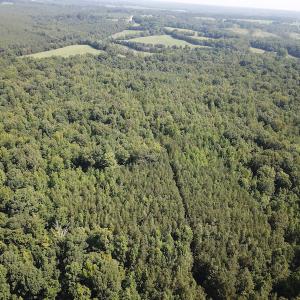 Photo #2 of SOLD property in Off Fletcher Chapel Road, Kenbridge, VA 76.0 acres