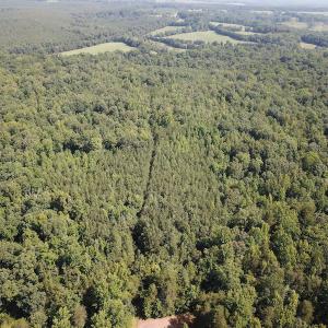 Photo #3 of SOLD property in Off Fletcher Chapel Road, Kenbridge, VA 76.0 acres