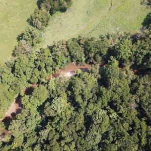 Photo #4 of SOLD property in Off Fletcher Chapel Road, Kenbridge, VA 76.0 acres