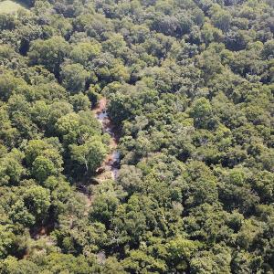 Photo #5 of SOLD property in Off Fletcher Chapel Road, Kenbridge, VA 76.0 acres