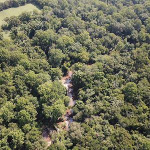 Photo #6 of SOLD property in Off Fletcher Chapel Road, Kenbridge, VA 76.0 acres