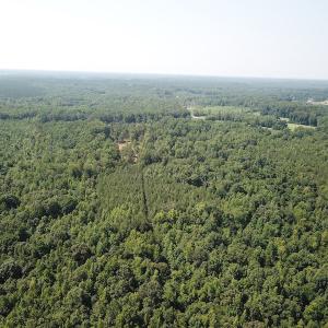 Photo #8 of SOLD property in Off Fletcher Chapel Road, Kenbridge, VA 76.0 acres