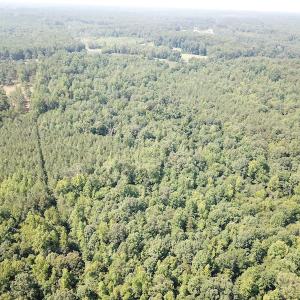 Photo #9 of SOLD property in Off Fletcher Chapel Road, Kenbridge, VA 76.0 acres
