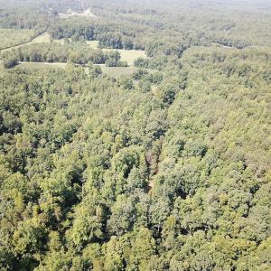 Photo #10 of SOLD property in Off Fletcher Chapel Road, Kenbridge, VA 76.0 acres