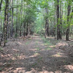 Photo #13 of SOLD property in Off Fletcher Chapel Road, Kenbridge, VA 76.0 acres