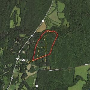 Photo #1 of SOLD property in Off Fletcher Chapel Road, Kenbridge, VA 76.0 acres