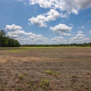 Photo #10 of SOLD property in Off Tedder Road, Fairmont, NC 27.9 acres