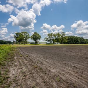 Photo #11 of SOLD property in Off Tedder Road, Fairmont, NC 27.9 acres