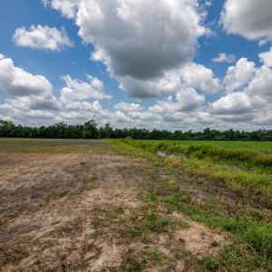 Photo #14 of SOLD property in Off Tedder Road, Fairmont, NC 27.9 acres