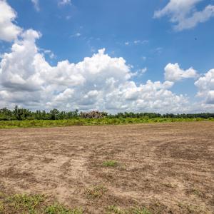 Photo #15 of SOLD property in Off Tedder Road, Fairmont, NC 27.9 acres