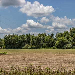 Photo #17 of SOLD property in Off Tedder Road, Fairmont, NC 27.9 acres