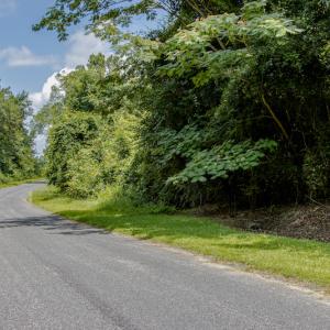Photo #19 of SOLD property in Off Tedder Road, Fairmont, NC 27.9 acres