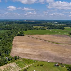 Photo #21 of SOLD property in Off Tedder Road, Fairmont, NC 27.9 acres