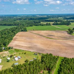 Photo #22 of SOLD property in Off Tedder Road, Fairmont, NC 27.9 acres