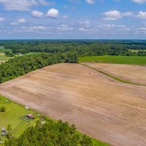 Photo #23 of SOLD property in Off Tedder Road, Fairmont, NC 27.9 acres