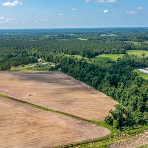 Photo #24 of SOLD property in Off Tedder Road, Fairmont, NC 27.9 acres