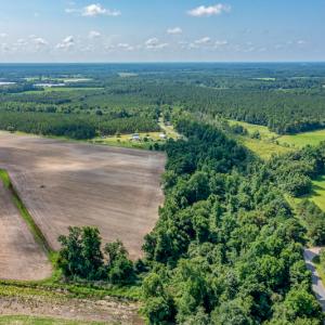 Photo #25 of SOLD property in Off Tedder Road, Fairmont, NC 27.9 acres