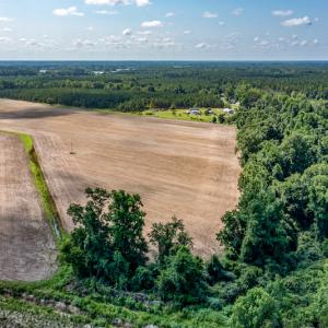 Photo #26 of SOLD property in Off Tedder Road, Fairmont, NC 27.9 acres